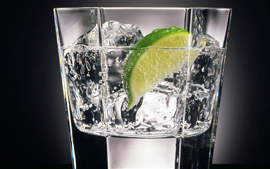 Gins (4 CL)